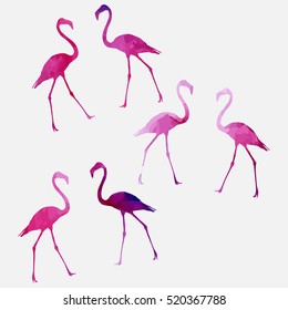 Set of a flamingo on a colored background. Watercolor flamingo