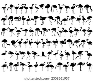 Set of Flamingo Silhouette Bundle, Bird Icons