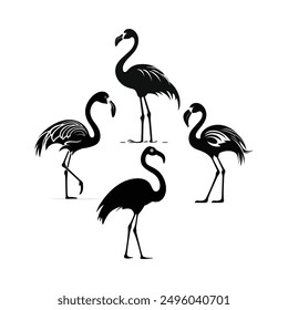 Un conjunto de Ilustraciones vectoriales de silueta de flamenco.