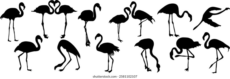 Set of flamingo silhouettes. Couples of flamingos in love, shadows.  Signs, symbols of the outline of a pink flamingo