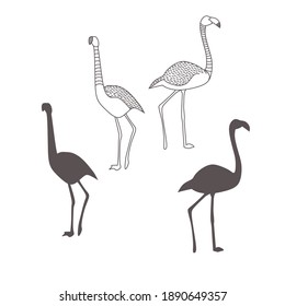 set of flamingo silhouettes drawn with lines and full fill