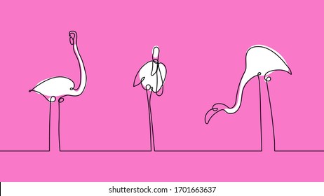 Set flamingo staying on one and two leg on pink background. Continuous line drawing isolated. Concept for greeting card, banner, poster, flyer. Abstract bird vector illustration