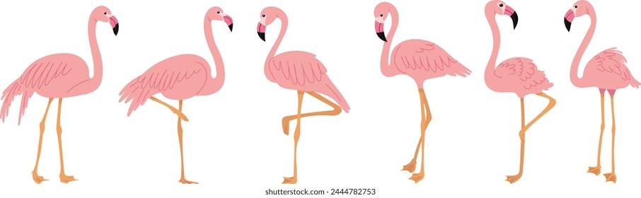 set of flamingos in flat style on white background vector