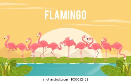 Set of flamingos on background. illustration.