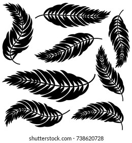 Set flat abstract isolated black leaves curving in different directions