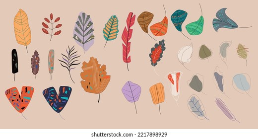 Set of flat abstract leaves. Vector illustration.