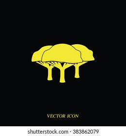 Set of flat African trees. Natural illustration.