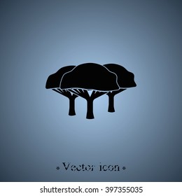 Set of flat African trees. Natural illustration.