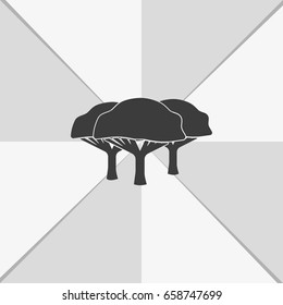 Set of flat African trees. Natural illustration.