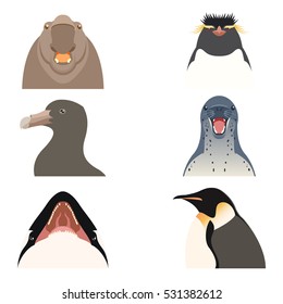 Set of flat antarctic animal icons