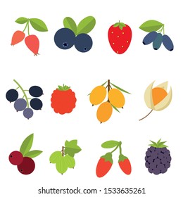 Set flat berries on white background. Vector illustration.