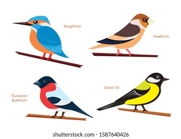 Set of flat birds, isolated on white background. Flat style illustration.