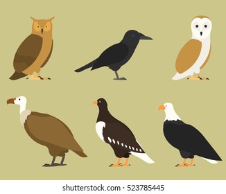 Set of flat birds, isolated on background. different tropical and domestic, cartoon style simple for logos. eagle, raven, owl, griffon,