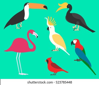 Set of flat birds, isolated on background. different tropical and domestic, cartoon style simple for logos. toco toucan. rhinoceros hornbill. cockatoo. parrot. ara. red cardinal.