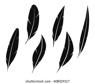 Set flat black feathers on a white background. Vector illustration.