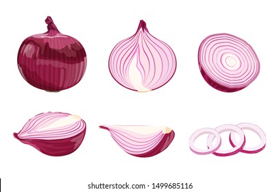 set of flat cartoon red onions isolated on a white background, vector illustration