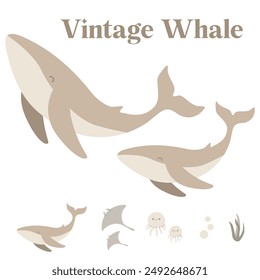 Set of flat cartoon vintage whale stingray jelly fish sea jelly. Vector illustration ocean animals isolated on white background.