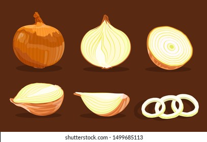 set of flat cartoon yellow onions isolated on a dark brown background, vector illustration