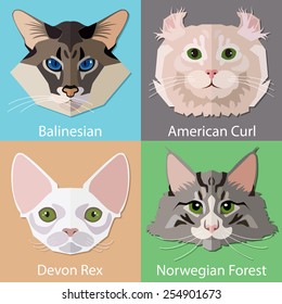 Set of flat Cats faces icons.