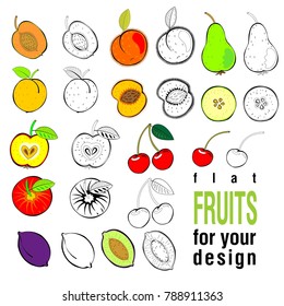 Set of flat color different fruits on white background.