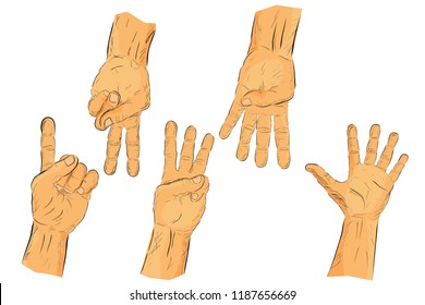 Set of flat color hand draw sketch Counting or Voting Hand, One to Five