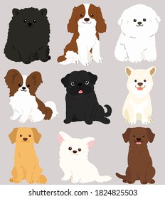 Set of flat colored adorable dogs sitting in front view