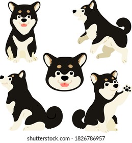 Set of flat colored cute black Shiba Inu illustrations 