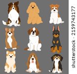 Set of flat colored cute and simple dogs sitting in front view (Shetland Sheepdog, English Cocker Spaniel, Fox Terrier, Pitbull, Saint Bernard, Doberman, Akita dog, Basset Hound, Beagle)