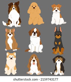 Set of flat colored cute and simple dogs sitting in front view (Shetland Sheepdog, English Cocker Spaniel, Fox Terrier, Pitbull, Saint Bernard, Doberman, Akita dog, Basset Hound, Beagle)