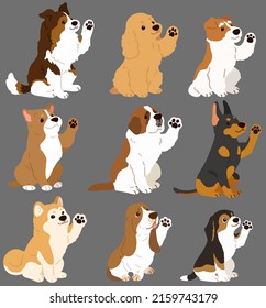 Set of flat colored cute and simple dogs sitting and waving (Shetland Sheepdog, English Cocker Spaniel, Fox Terrier, Pitbull, Saint Bernard, Doberman, Akita dog, Basset Hound, Beagle)