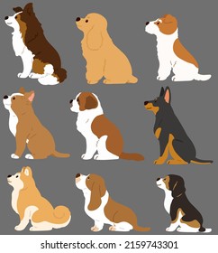 Set of flat colored cute and simple dogs sitting in side view (Shetland Sheepdog, English Cocker Spaniel, Fox Terrier, Pitbull, Saint Bernard, Doberman, Akita dog, Basset Hound, Beagle)