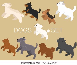 Set of flat colored cute and simple dogs (Afghan Hound, Rottweiler, Welsh Terrier, Great Pyrenees, Poodle, French Mastiff, Great Dane, Chow Chow, Newfoundland)