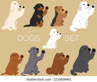 Set of flat colored cute and simple dogs (Afghan Hound, Rottweiler, Welsh Terrier, Great Pyrenees, Poodle, French Mastiff, Great Dane, Chow Chow, Newfoundland)