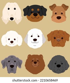 Set Of Flat Colored Cute And Simple Dogs (Afghan Hound, Rottweiler, Welsh Terrier, Great Pyrenees, Poodle, French Mastiff, Great Dane, Chow Chow, Newfoundland)