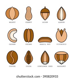 Set of flat colored icons with different nuts, vector illustration