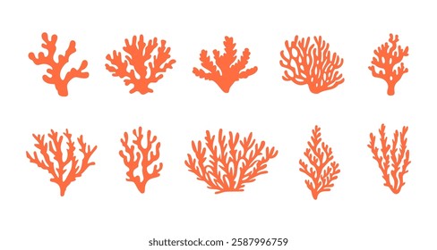 Set of flat coral reef vectors