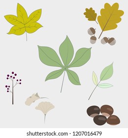 Set of flat design autumn icons