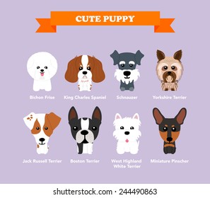 Set of flat design compositions with cute dogs - vector set of icons and illustrations