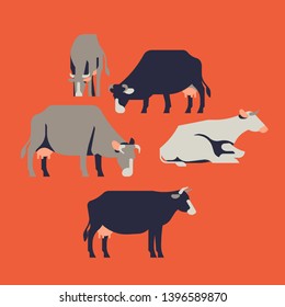 Set of flat design cows eating and resting. Cattle farm design items
