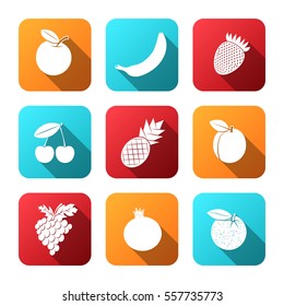A set of flat design icons for fruit. Colorful summer fruit, vector illustration on the theme of healthy food, organic food for your Projects summary.