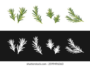 Set of flat design rosemary branches isolated on white background. Vector illustration of evergreen plant with fragrant leaves. Culinary ingredient in traditional mediterranean cuisine, food seasoning