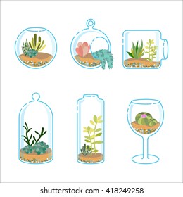 Set of flat florariums with different succulents and cactus for design modern interior. Plant in a glass aquarium. Vector illustration isolated on wight background