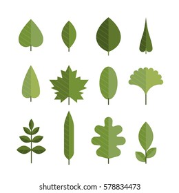 4,399 Different types leaves Stock Illustrations, Images & Vectors ...