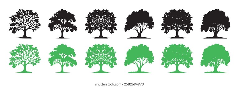  Set of Flat green trees vector illustration set. Detailed tree silhouettes of various trees on white background. Vector illustration.