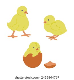 Set of flat had drawn chicken and eggshell. Spring concept. Sketchy hand drawn elements on white background. Ideal for decoration, stickers, greetings, banner and background