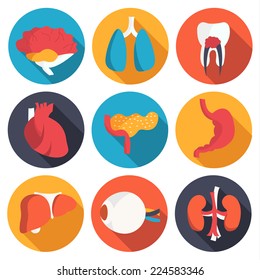 set flat human organs icons illustration concept. Vector background design