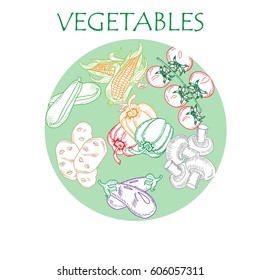Set flat icon of vegetables, drawing with color lines on white background color circle
