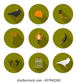 set of flat icons crow in vector format eps10