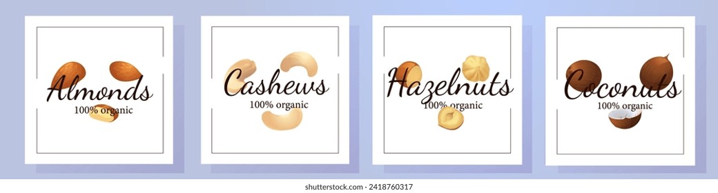 A set of flat illustrations of nuts: almonds, walnuts,cashews,pistachios,pecans,hazelnuts, brazil nuts, macadamia nuts,pine nuts, chestnuts peanuts and coconuts.