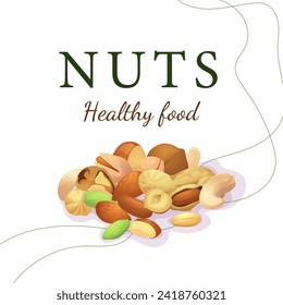 A set of flat illustrations of nuts: almonds, walnuts,cashews,pistachios,pecans,hazelnuts, brazil nuts, macadamia nuts,pine nuts, chestnuts peanuts and coconuts.